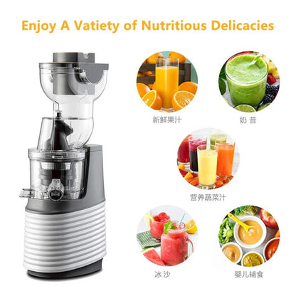 Blendora ColdPress Pro Juicer