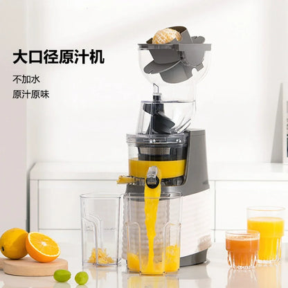 Blendora ColdPress Pro Juicer