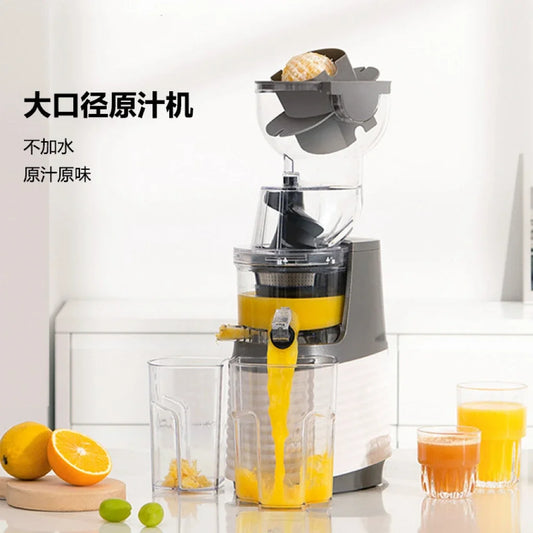 Blendora ColdPress Pro Juicer